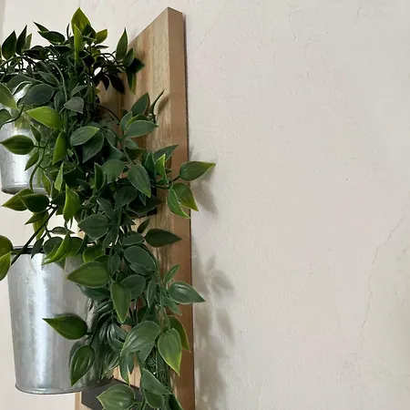 Kamalei فندق مبيت وإفطار