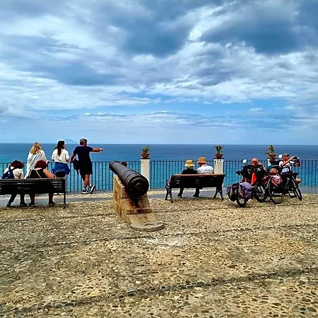Kamalei Tropea