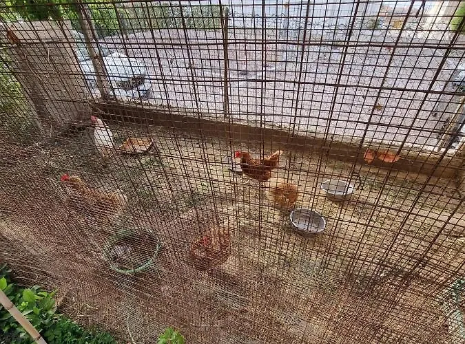 Bed & Breakfast Kamalei Tropea