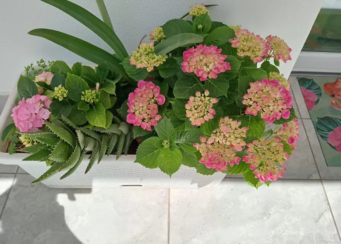 Kamalei Bed & Breakfast